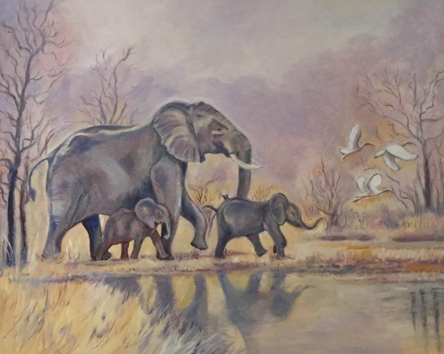 Elephants (Slony)